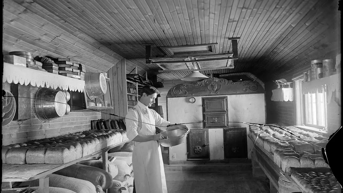 Knotts Bakery – bakery in Glen, Newtownards